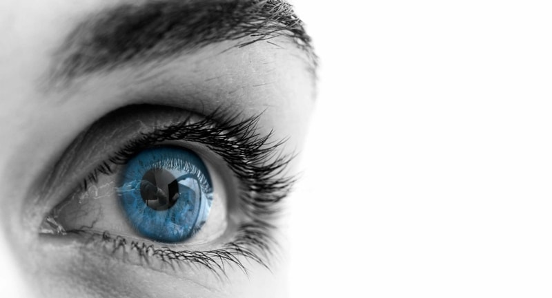 Fun Facts About Your Amazing Eyes